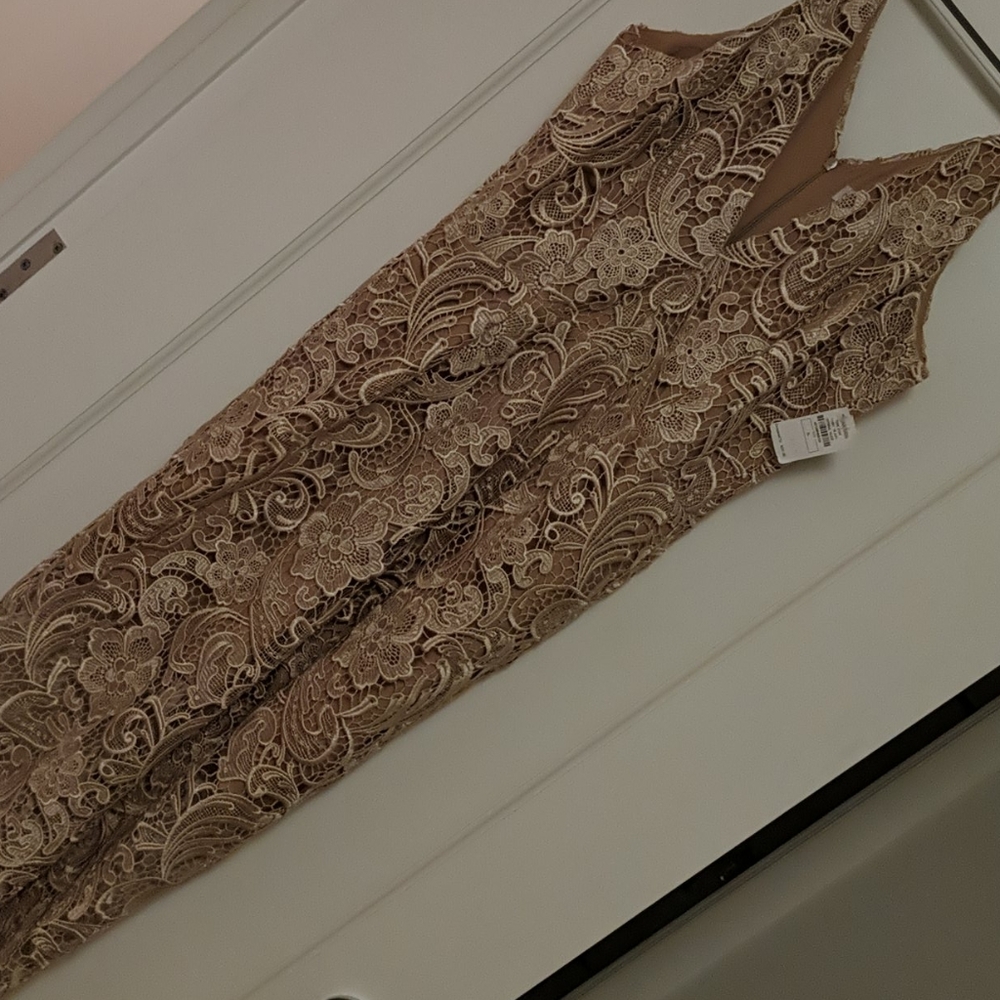 Dress the Population lace dress